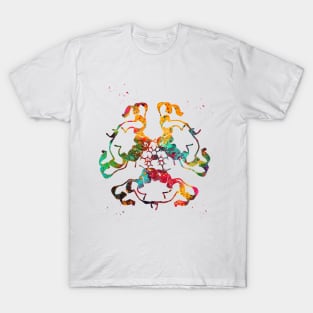 Insulin Structure T-Shirt